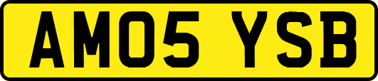 AM05YSB