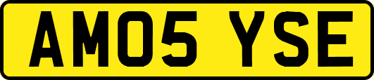 AM05YSE