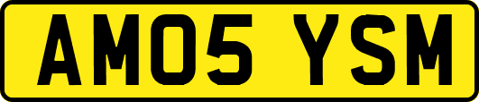 AM05YSM