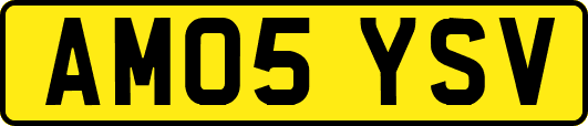 AM05YSV