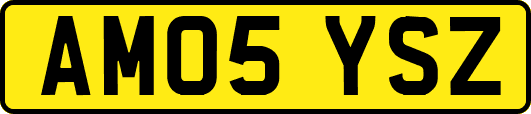 AM05YSZ
