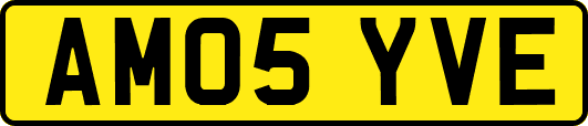 AM05YVE