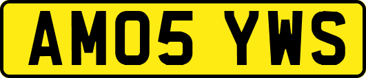 AM05YWS