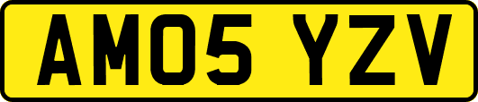 AM05YZV