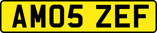 AM05ZEF
