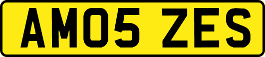 AM05ZES