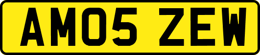 AM05ZEW