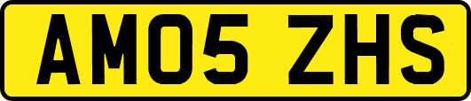 AM05ZHS