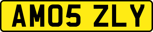 AM05ZLY