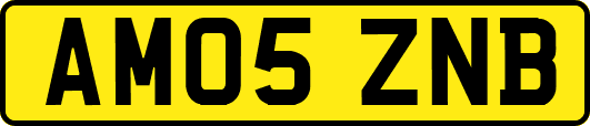AM05ZNB