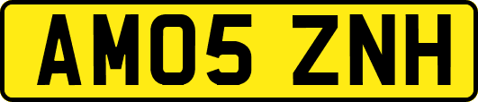 AM05ZNH