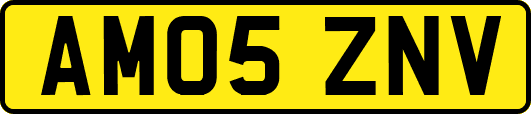 AM05ZNV