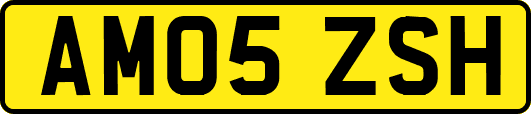 AM05ZSH