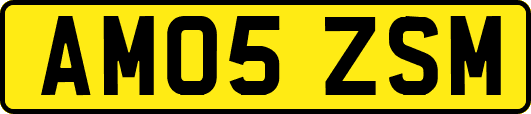 AM05ZSM