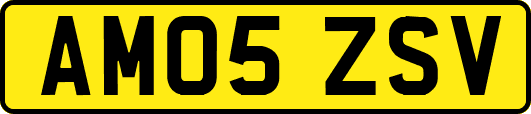 AM05ZSV