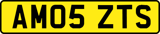 AM05ZTS