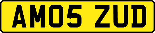 AM05ZUD