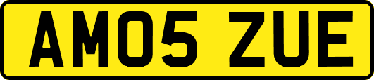 AM05ZUE