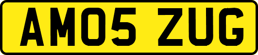 AM05ZUG