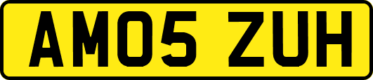 AM05ZUH