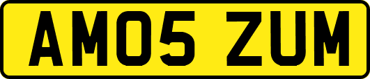 AM05ZUM