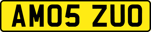 AM05ZUO
