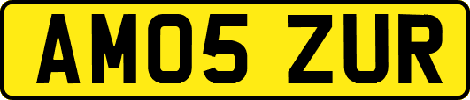 AM05ZUR