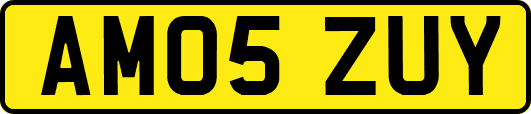 AM05ZUY