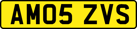 AM05ZVS