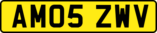 AM05ZWV