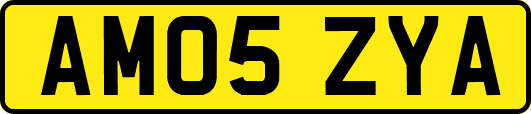 AM05ZYA