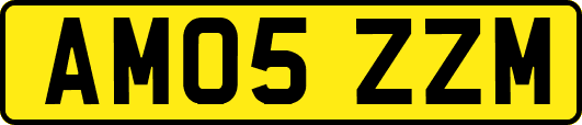 AM05ZZM