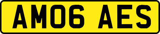 AM06AES