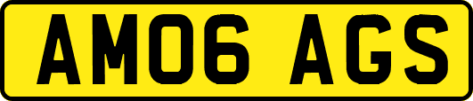 AM06AGS