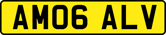 AM06ALV