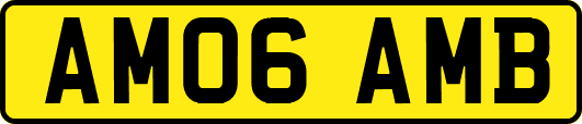 AM06AMB