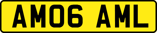 AM06AML