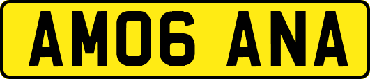 AM06ANA