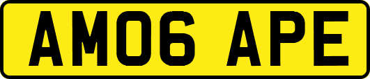 AM06APE