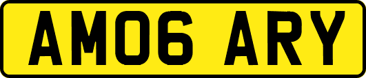 AM06ARY