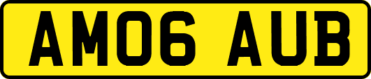 AM06AUB