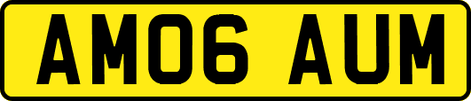 AM06AUM