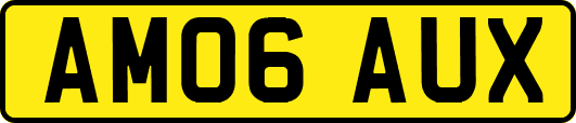 AM06AUX