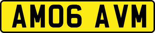 AM06AVM