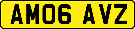 AM06AVZ