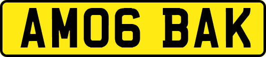AM06BAK