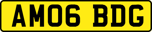 AM06BDG