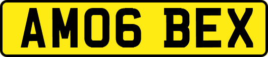 AM06BEX