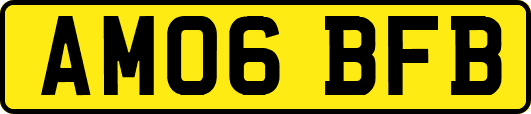 AM06BFB