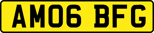AM06BFG